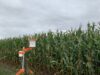 agregar 2 - foto nuevo producto - pluviometro
